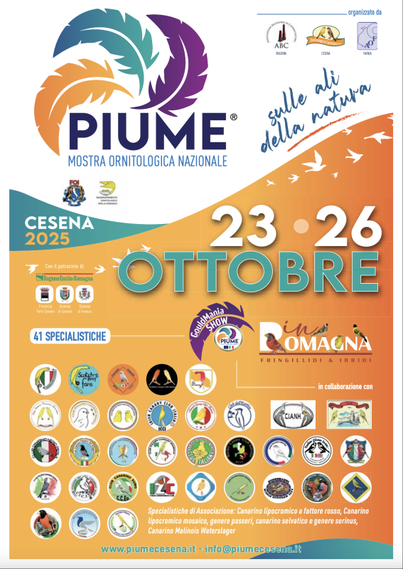 Piume